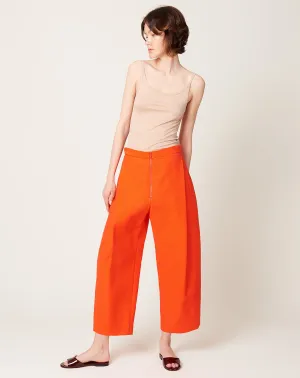 Don Pant in Coral