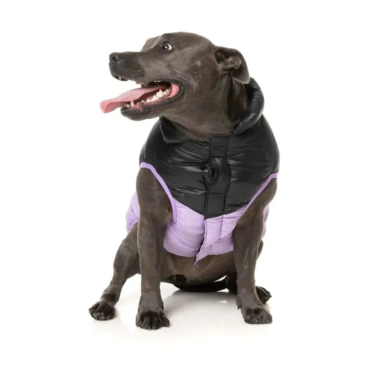 FuzzYard | South Harlem Dog Puffer Jacket - Lilac