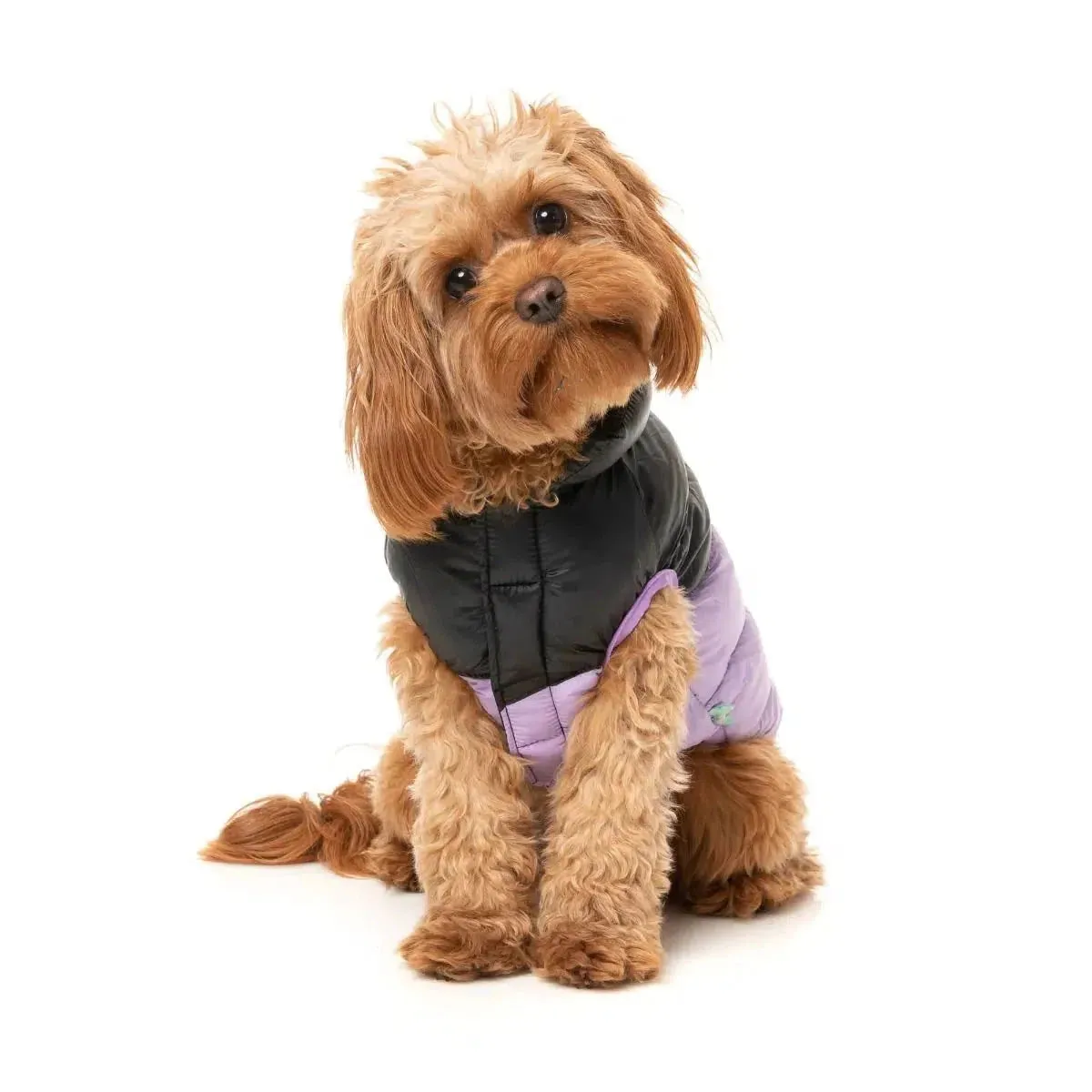 FuzzYard | South Harlem Dog Puffer Jacket - Lilac